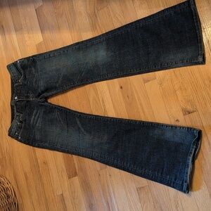 Classic Blue Flared Women Jeans